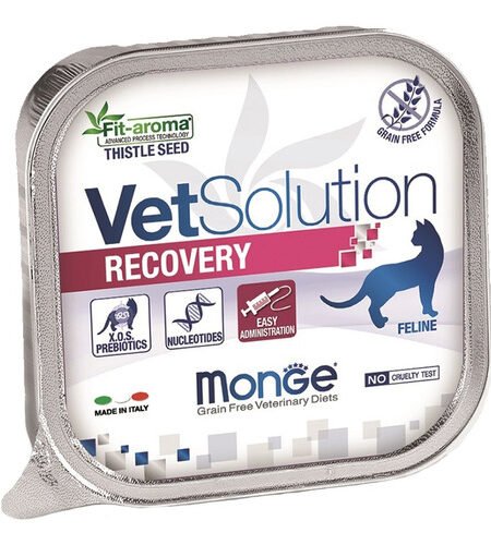 Paté VetSolution Recovery Gato 100g