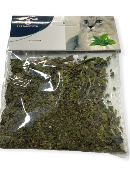 yerba gatera sobre mediano