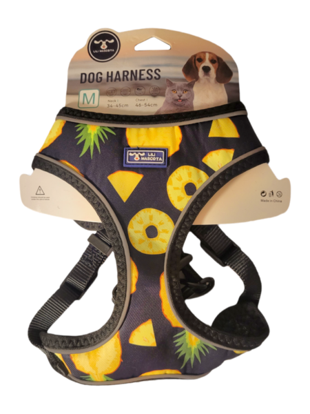 Arnés con correa lili XS diseño ananá