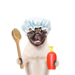 Higiene y Cosmetica para Perros